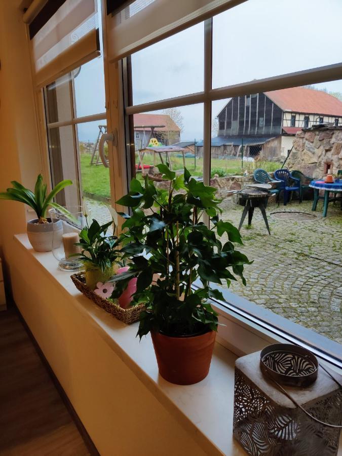 Ferienwohnung Brunow "In Der Natur Zuhause" Neundorf  Exterior photo